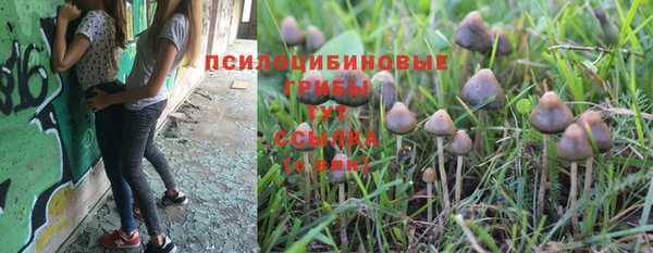 гашиш Бородино