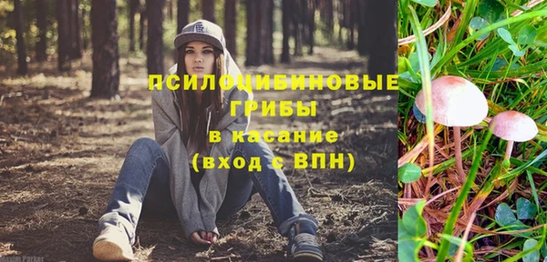 стафф Бронницы